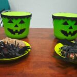 Talleres terapia ocupacional